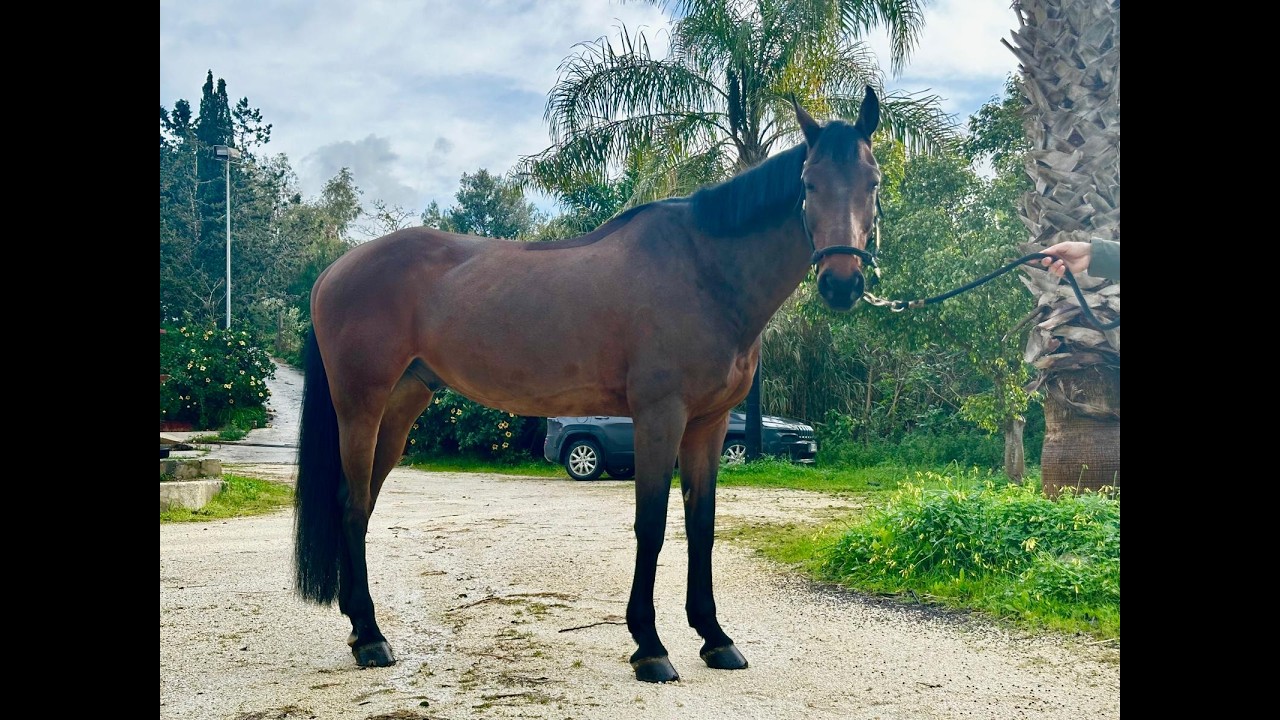 Quality Jump (QUALITY TIME TN x DIARADO) video 2