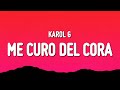 Karol G - Mientras Me Curo Del Cora (Letra/Lyrics)