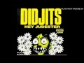 Didjits - Plate in My Head