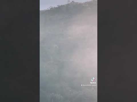 Changing the image in your head. Practice the Pause 🙏