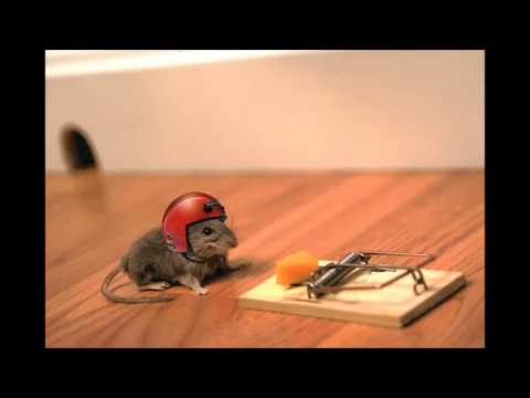 Raimo feat. MC Taakibörsta - Riskei on Otettava (Eka Yritys)