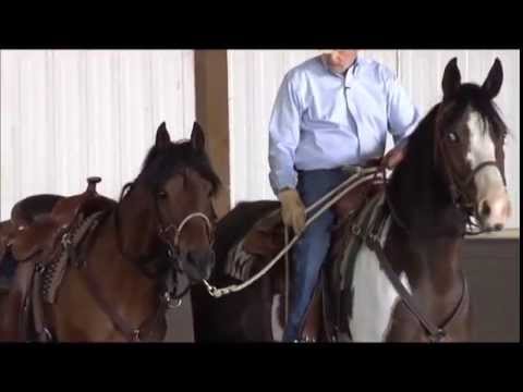 How to Pony Your Horse