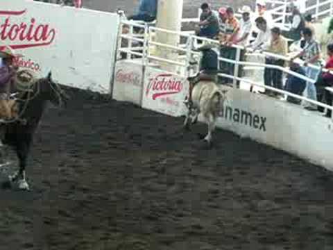 Los mejores jineteos de toro