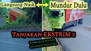Download lagu TANJAKAN EKSTRIM!! Tamborasi Kolaka Sulawesi Tenggara mp3
