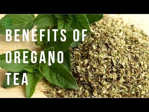 6 Amazing Benefits Of Oregano Tea For Weight Loss And More | Organic Facts