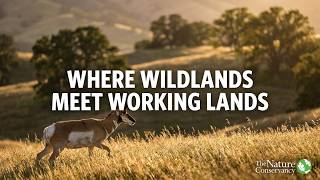 Webinar: Where Wildlands Meet Working Lands