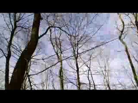 Over the band... - Hilmar Örn Hilmarsson & Sigur  Ros