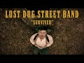 Lost Dog Street Band - 