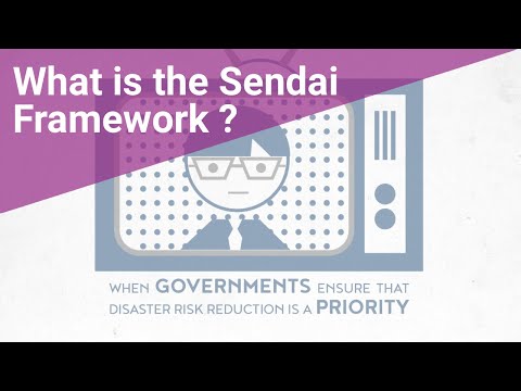 Sendai Framework Priority 2: Strengthening disaster risk governance to manage disaster risk