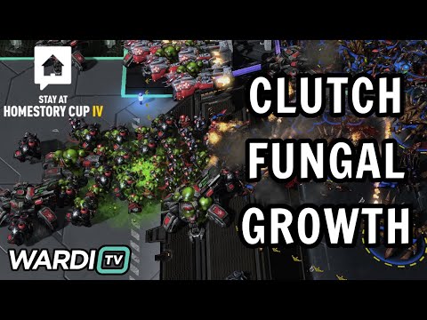 RIDICULOUS FUNGALS! - Serral vs ByuN (ZvT) - Stay At HomeStory Cup 4 [StarCraft 2]