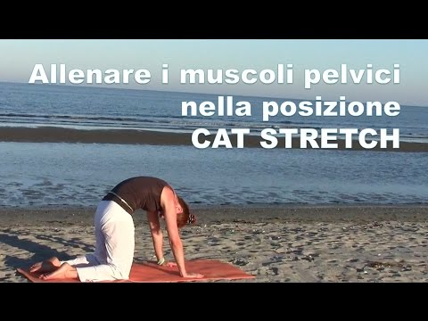 Trattamento medicina orientale delle articolazioni Crunch nelle articolazioni dopo un allenamento