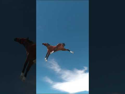 ARBS Flying Horse | Hussar Vs Giant Boxing Glove