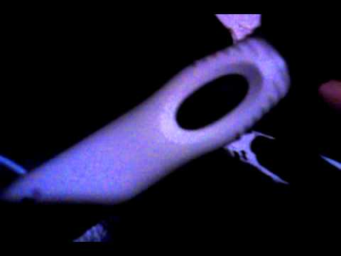 LIVE ept early pregnancy test digital