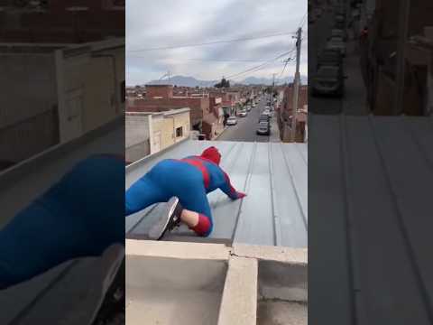 Spider Tamb A Vuelto! #shorts #fyp #viral