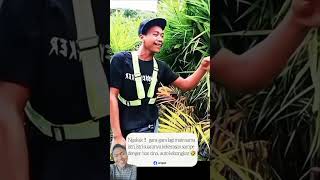 Download lagu Bos cina denger karyawannya lagi main asik sama istrinya😂🤣 #videolucu #lucu #ngakak #kocak #meme mp3 Download lagu Bos cina denger karyawannya lagi main asik sama istrinya😂🤣 #videolucu #lucu #ngakak #kocak #meme mp3