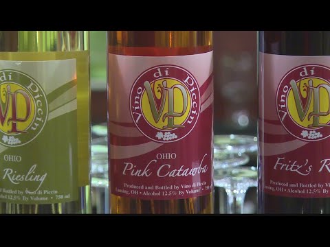 Vinícola e casa de degustação Vino di Piccin organizando festa de Halloween