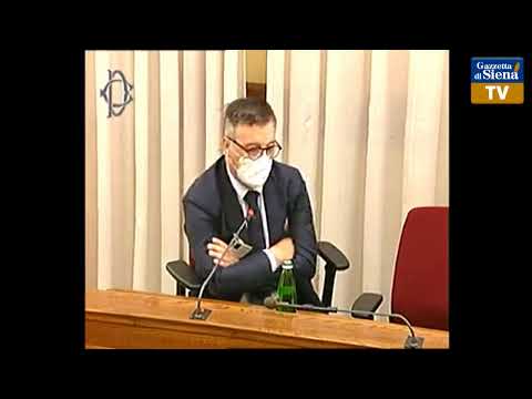 Comissione parlamentare morte di David Rossi: Massimo Steiner, Fabrizio Leandri