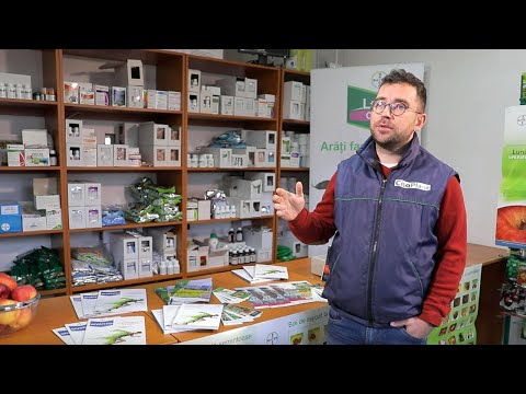 Un fitofarmacist explică de ce sunt atractive produsele Bayer