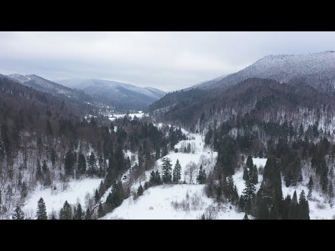 Сергій Розов - відео обкладинка
