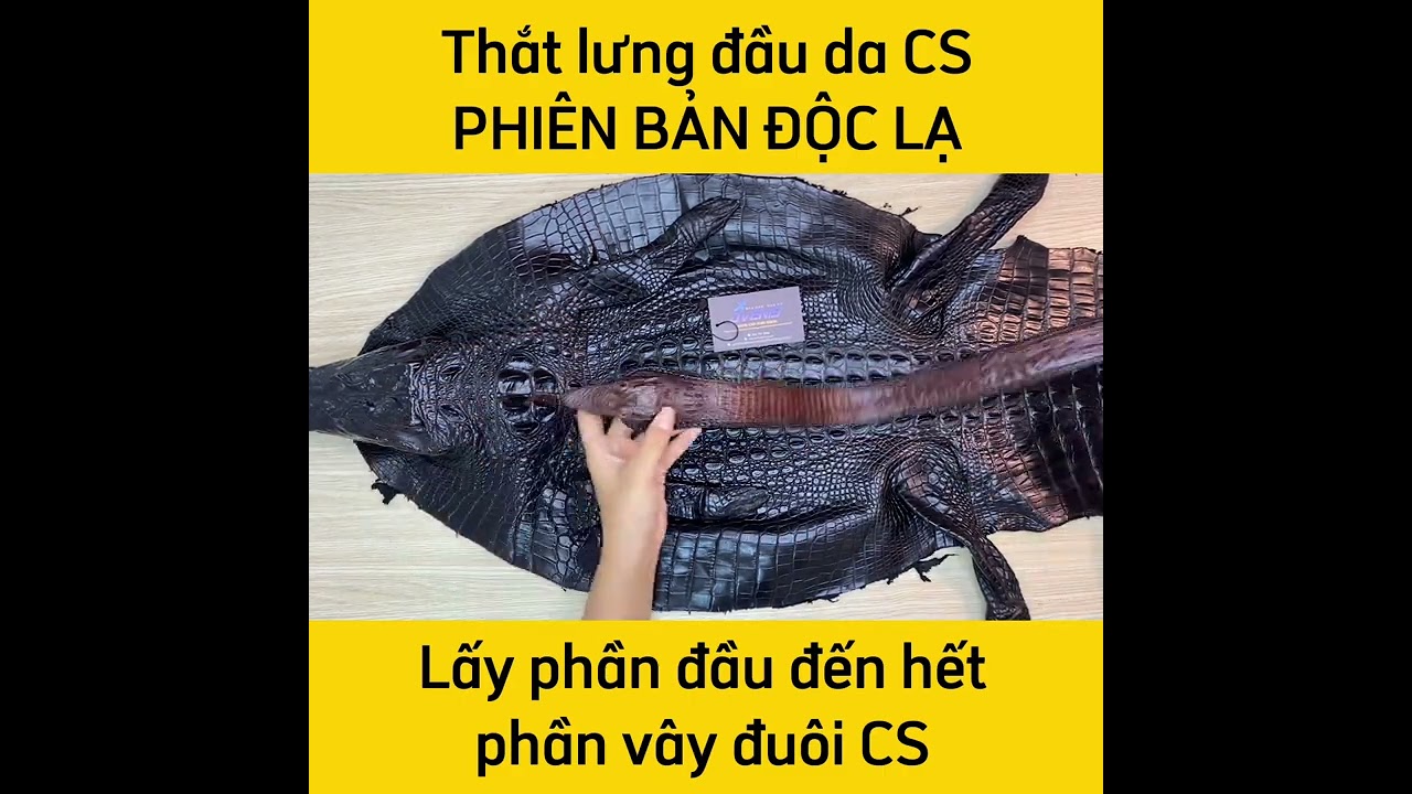 Thắt Lưng Đầu Cá Sấu Khẳng Định Phong Cách N51N