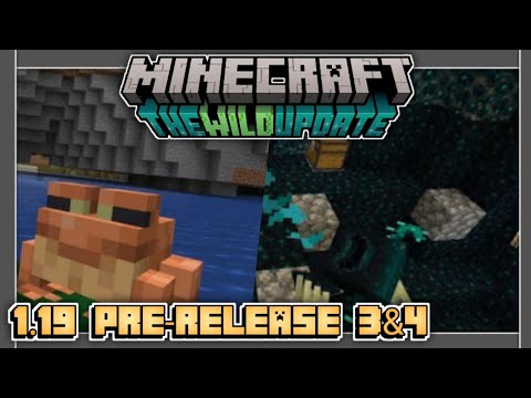 Fadhil Lesmana - Minecraft 1.19 Pre-Release 3 & 4 | Unprotected Sonics & Bug Fixes!!