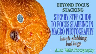 Focus Slabbing - a step by step guide to advanced focus stacking
