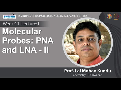 Essentials of Biomolecules Nucleic Acids and Peptides