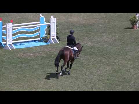 NFR - Sonntag - Sieger Prüfung 08/2 - Zeitspringprüfung Kl.S* - Gräfe,Maximilian - Uriko