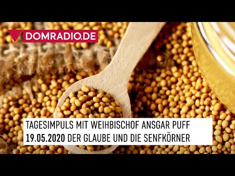 Die Entfaltungsmöglichkeiten des Glaubens – Impuls von Weihbischof Ansgar am 19.05.2020