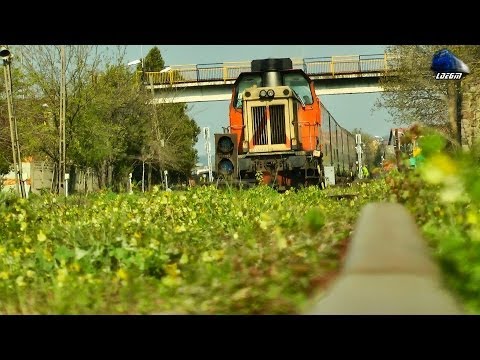 Torpila 82-0561-9 - IR367-2"Harghita" - Budapest Keleti - Brasov in Oradea