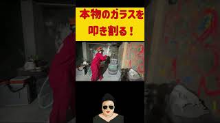 本物のガラスをたたき割る！！ #実写 #ホラフキン　#神回