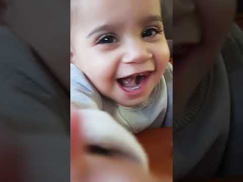 One year old Tiba story🎂