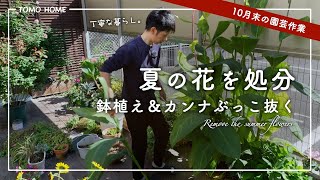 [What a waste!?] Disposing of and pruning summer flowers to prepare for the next planting [Petuni...
