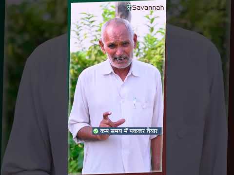Jagat Ram