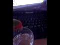 Mi Noddy Bañandose Avi