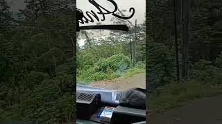 Download lagu masih di jalan pegunungan #l300 #bermuatan #kayu mp3