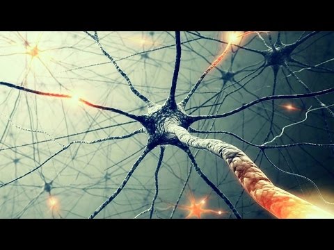 Тайны сознания. Бог в нейронах