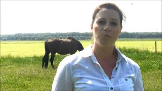 preview picture of video 'HRM Group | platform voor training en coaching met behulp paarden.'