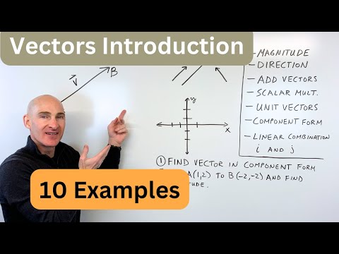 Vectors Introduction for Beginners