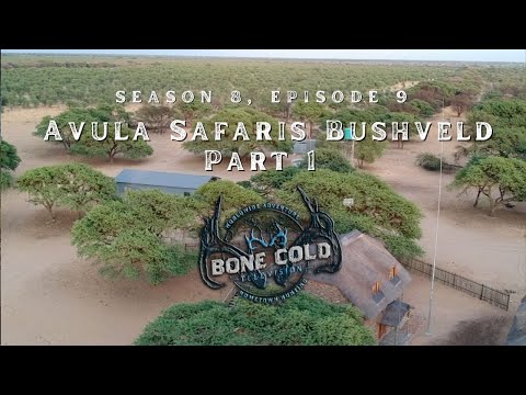 Season 8 Episode 9 Avula Safaris Bushveld Part 1