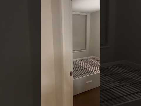 Frog clan painting group video.