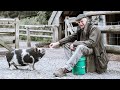 The Men Who Brought The Kunekune Pig Back From The Brink