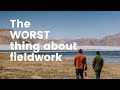 😡 WORST thing about field work | Must Watch 👀 | SciAll.org