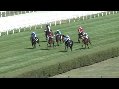 2017.07.30. 4. futam - VÁROSBÍRÓ DÍJ (I.kat.)