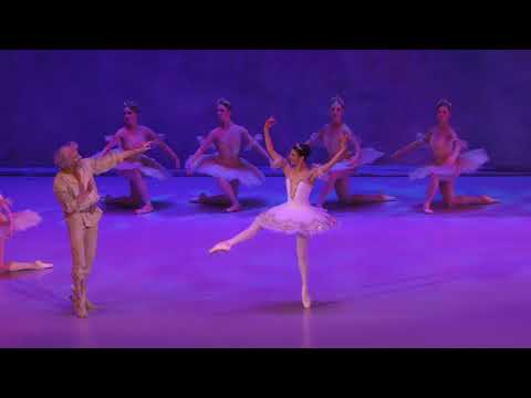 21/09/19 Yanela Pinera variation of Dulcinea