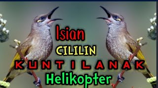 Download lagu Kombok Isian Cililin, Kuntilanak, Helikopter dll mp3 Download lagu Kombok Isian Cililin, Kuntilanak, Helikopter dll mp3