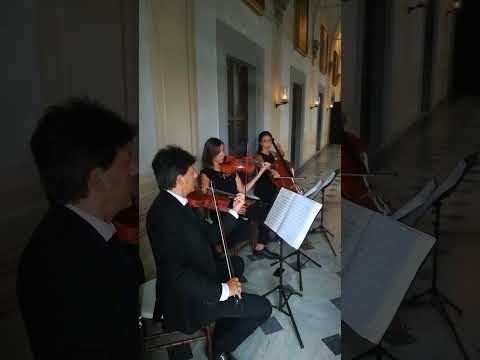 Florence Art Ensemble String Trio Isn't she lovely Summer 2023