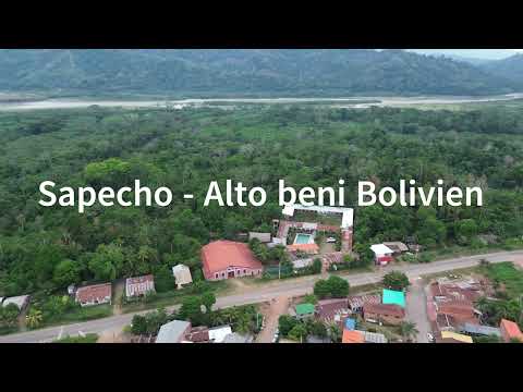 Sapecho Alto Beni Bolivia