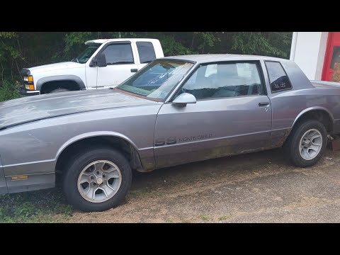 #5 How to tell a real Monte Carlo SS from a FAKE SS