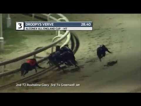 2019 ALCONEX ALL ENGLAND CUP - HEAT 1 - T3 DROOPYS VERVE